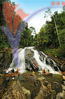 Kota Tinggi Waterfalls