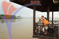 Tanjung Piai National Park - Johor