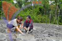 Tabin Wildlife, Sabah