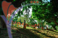 Jogging At Seremban Lake Garden, Seremban, Negeri Sembilan