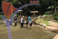 Lost World of Tambun