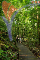 Mulu - Sarawak