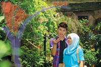Butterfly Farm