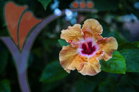 Orchid & Hibiscus Gardens - Kuala Lumpur
