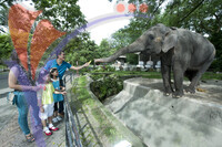 Zoo Negara