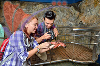 Marine Museum