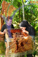 Madu Kelulut Ulu Legong