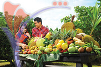 Fruit Farm