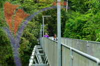 Sungai Sedim - Kedah