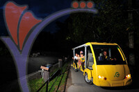 Night Safari Zoo - Taiping - Perak
