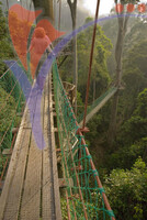 Danum Valley