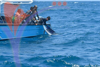 The Royal Pahang Billfish International Challenge