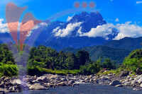Mount Kinabalu View From Polumpung