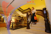 Muzium Negeri