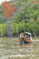 Kilim River Mangrove Tour, Langkawi, Kedah