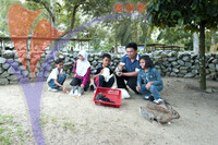 Rabbit Farm