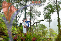 The Jerai Hill