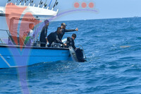 The Royal Pahang Billfish International Challenge