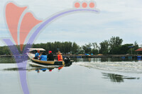 Setiu Wetlands
