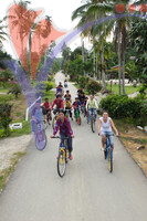 Kampung Temenim Baru Home Stay - Johor