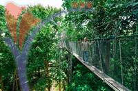 Canopy Walk Guar Chenderai , Perlis