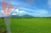 Gunung Raya - Langkawi