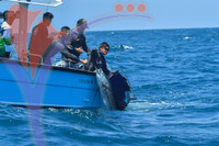 The Royal Pahang Billfish International Challenge