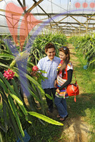 Xenxin Organic Farm