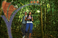 Jungle Tracking