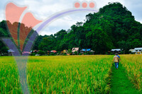Kampung Ujung Bukit , Perlis