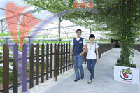 Goh Tong