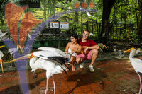 Kuala Lumpur Bird Park, Kl