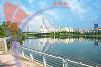 Seri Wawasan Bridge - Putrajaya