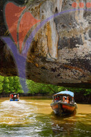 Kilim River Mangrove Tour, Langkawi, Kedah