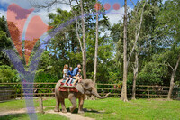 Lok Kawi Zoo