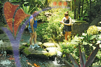 Penang Butterfly Farm - Pulau Pinang