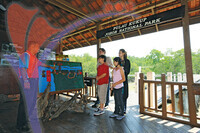 Pulau Kukup