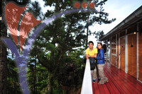 Bukit Larut - Taiping - Perak
