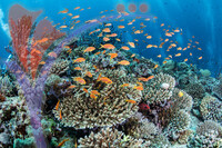 Sipadan 3