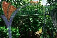 Canopy Walk Guar Chenderai , Perlis