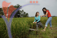 Haji Dorani - Homestay