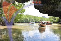 Kilim River Mangrove Tour, Langkawi, Kedah