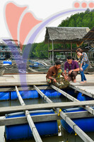Oyster Farm