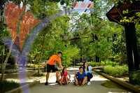 Theme Parks