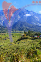 Dairy Farm, Kundasang , Sabah