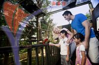 Kuala Lumpur Bird Park - Kuala Lumpur