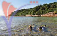 Perhentian Besar Island