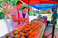Harum Manis , Perlis