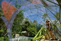 Bird Park