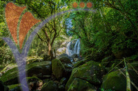 Susung Waterfall - Jurassic Wold Waterfall